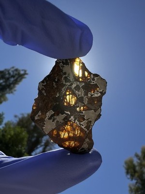 meteorite: NWA 18440 Weight 7.836  Grams. STUNNING!!