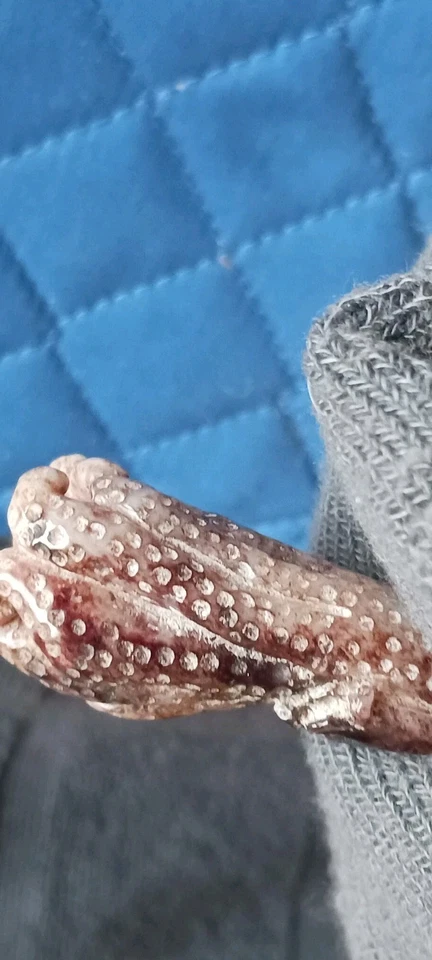 VINTAGE ● JADE CHINÊS ● DESCONHECIDO NÃO ASSINADO ● PINGENTE ● FIGURA DE CABAÇA ● LINDA ● - Imagem 4 de 4