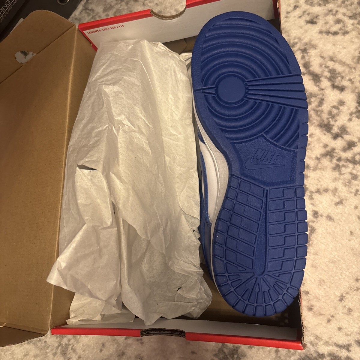 Nike Dunk Low \