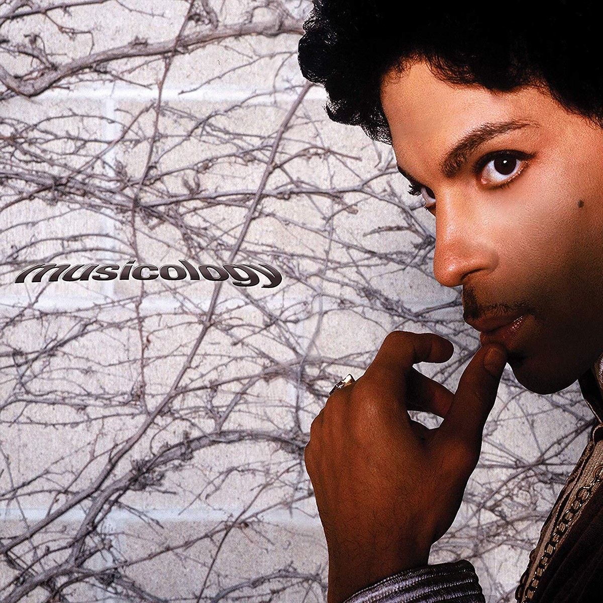 欧2LP Prince Musicology 19075910521 The Prince Estate, N /00660 Prince - Musicology (2 LP, Purple) - FUNK *NEW/COLOR