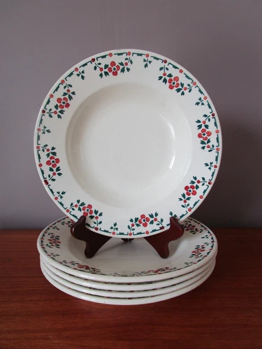 5 hollow plates 23 cm Terre de Fer HB &Cie Choisy le Roi floral decor