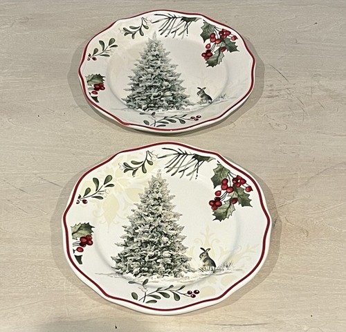 Better Homes And Gardens Plates 2 Christmas Tree Bunny Christmas Salad Dessert - 第 1/3 張圖片