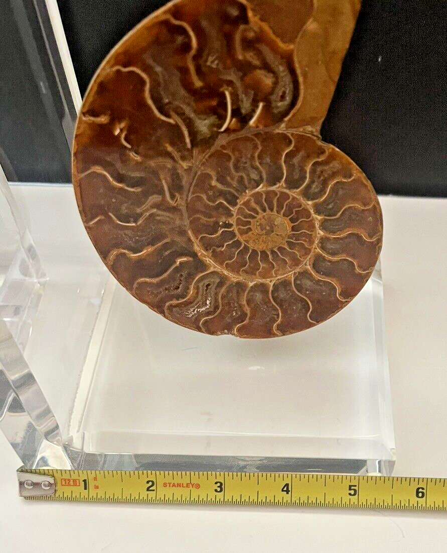 Picture 8 of 10