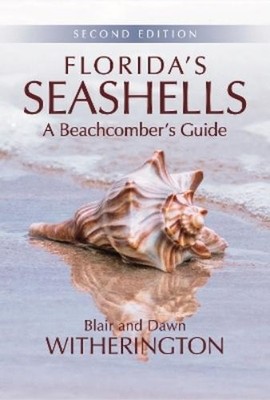 Blair Witherington Florida's Seashells (Taschenbuch)