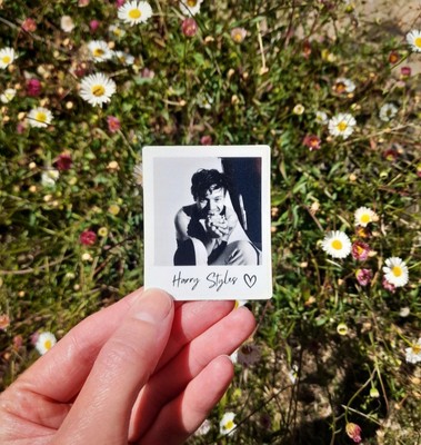 Harry Styles Polaroid Sticker