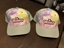 Wawa Tie Dye Hoagiefest 2026 Hat. Limited Edition 