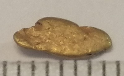 Goldnugget Barren Gold Investment Yukon Kanada  7 mm Zertifikat 258