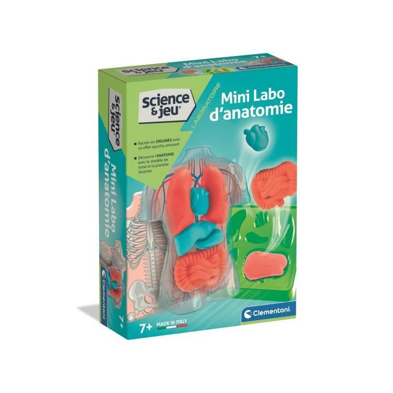Mini Labo d'anatomie CLEMENTONI avec organes amovibles et squelette articulé à assembler
