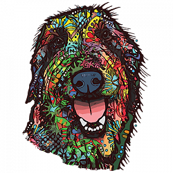 ALTRA T Shirt dalla S alla 2XL 3XL FUNNY FEELING cane neon divertente adulto