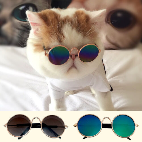 Cute Pet Cat Glasses UV Sunglasses Protection Eye Wear Funny Kitty Kitten Toys - Picture 1 of 15