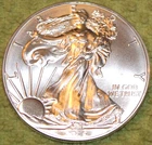 2015 American Silver Eagle - One Ounce of .999 Pure Silver