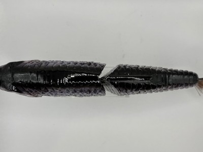 Leurre TYG Silencer Glide Bait 7" - Swimbait Coulant Personnalisé - Lot De 2 Neufs