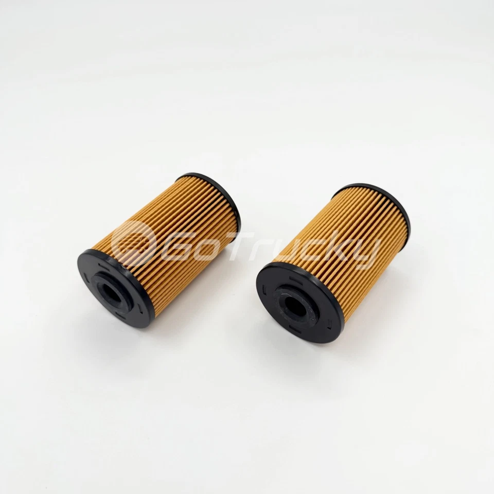 2x Kit de Elemento de Filtro de Combustível para Isuzu NPR NQR NPR-HD 4HK1 5.2L 10-25 - Imagem 3 de 4