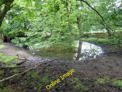 Photo 6x4 Old pit, Wadhurst Park Combe/TQ6228 Dug in the Wadhurst Clay,  c2013