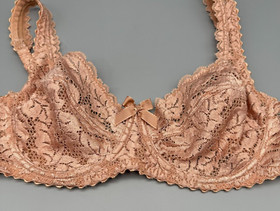 Antinea Lise Charmel 32D Beige Nude Semi-lined Underwired Embroidered Lace Bra