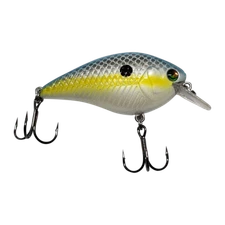 Cast Cray Square Bill - Sexy Shad