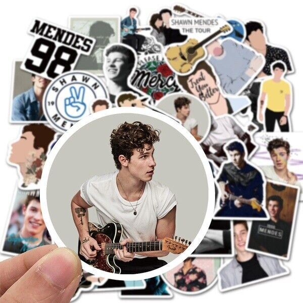 Shawn Mendes Singer Stickers for Sale