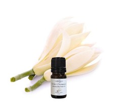 White Champaca Essential Oil, Organic, Pure, Natural