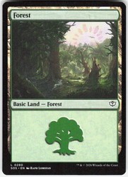 Forest 280/444 Secrets of Strixhaven MTG Basic Land