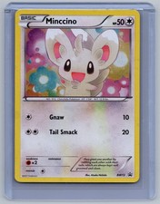 Minccino - (Cosmos Holo) Holo Promo Black and White Promos BW13 NM on eBay