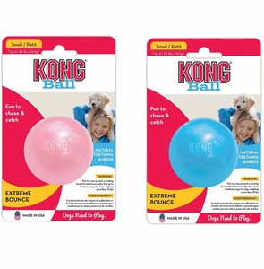 kong puppy ball