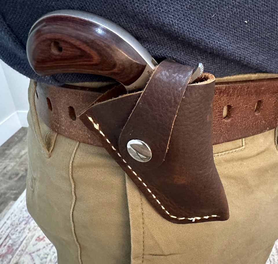 Extraordinary Holster For Naa 22 Mag Gallery