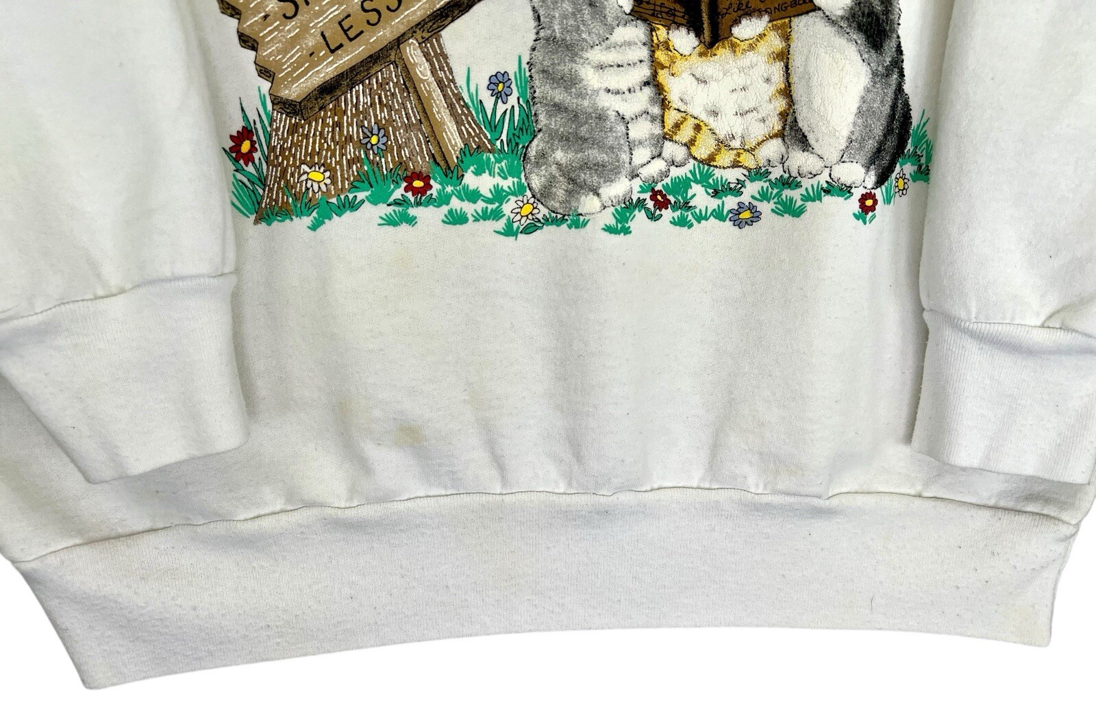 Vintage 90s Basic Editions Singing Lessons Cat Bi… - image 3