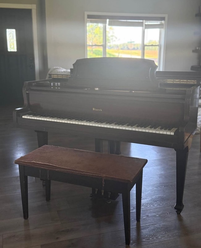 Starrch Baby Grand Piano 88 Keys 3 Pedals Brown Wood Finish Solid Wood