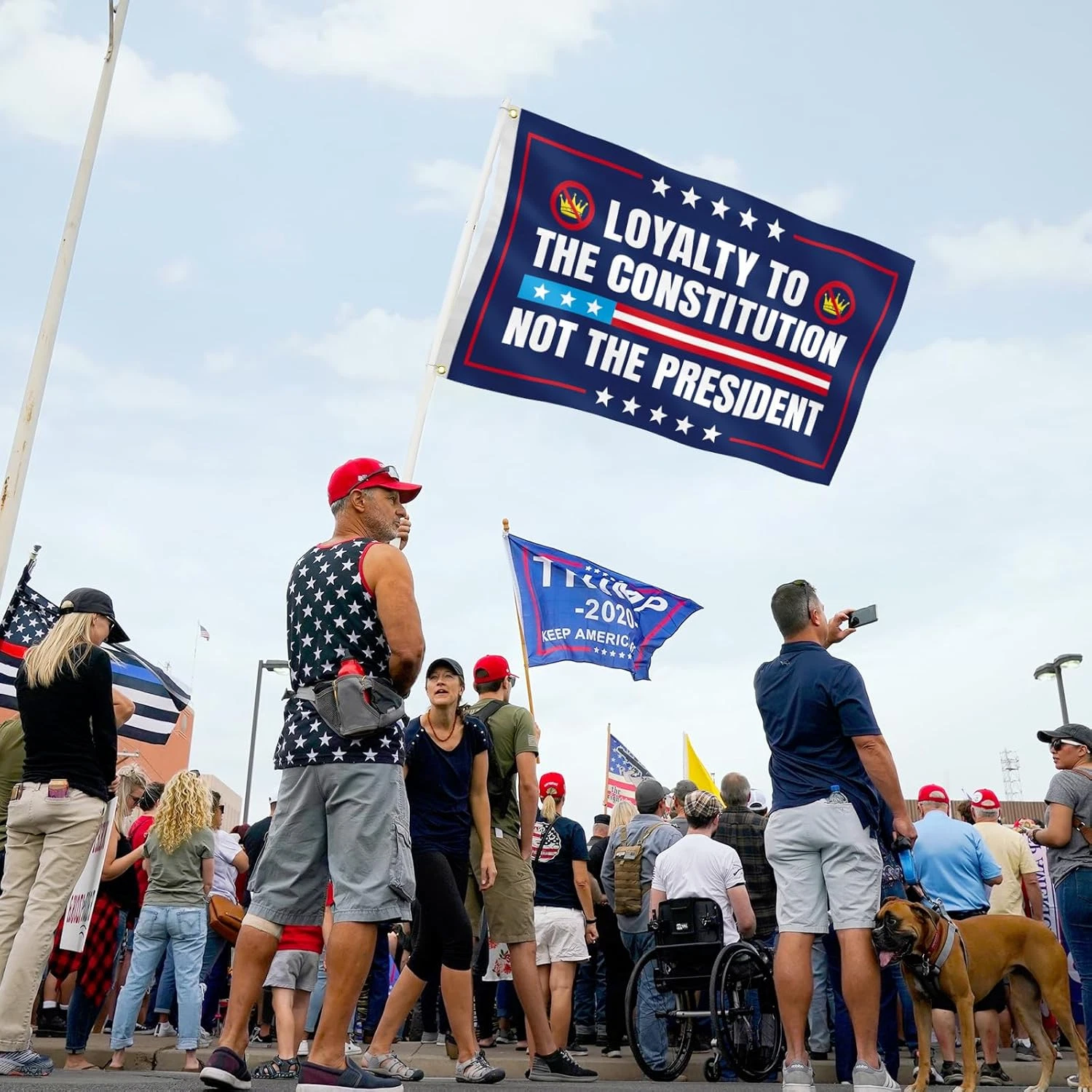 No Kings Protest Flag