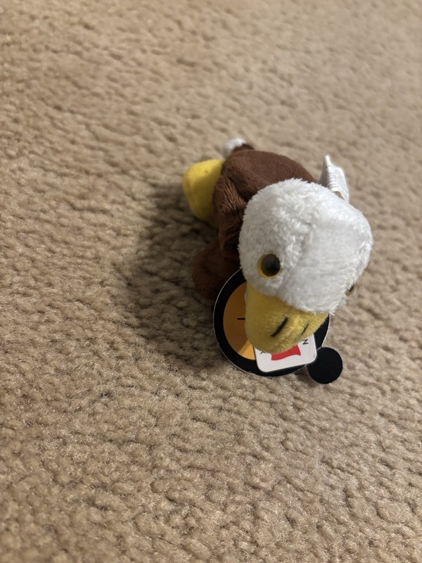 Snowcap Candian Souvenir Eagle Magnet