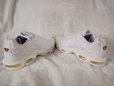 Size 10 - Nike Air Max Plus TN Triple White
