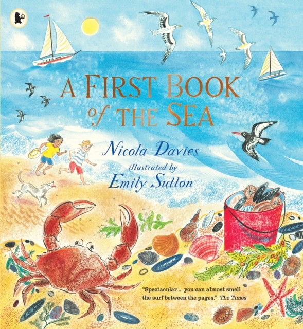 A First Book of the Sea by Nicola Davies (Paperback Book)
