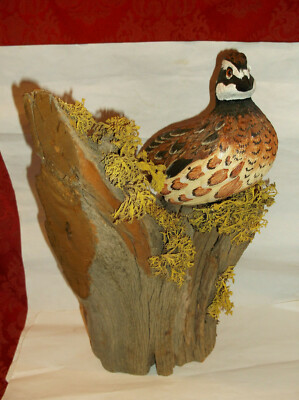RESIN QUAIL MOUNTED ON DRIFTWOOD......BEAUTIFUL!