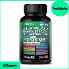 Sea Moss, Black Seed Oil, Ashwagandha, Turmeric, Ginger (16 in 1 Multivitamin)