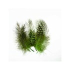 Bild 34 von 41