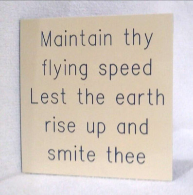 Plastic Maintain Thy Flying Speed Lest the Earth Rise Up and Smite Thee Sign