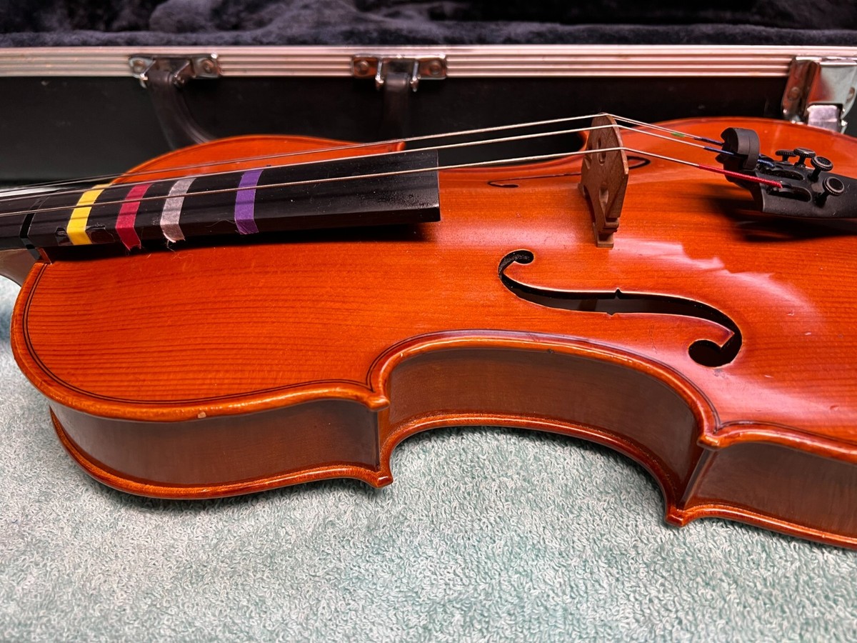 Fiumebianca M-80 1/4 弓 SAMUEL EASTMAN Fiumebianca M-80