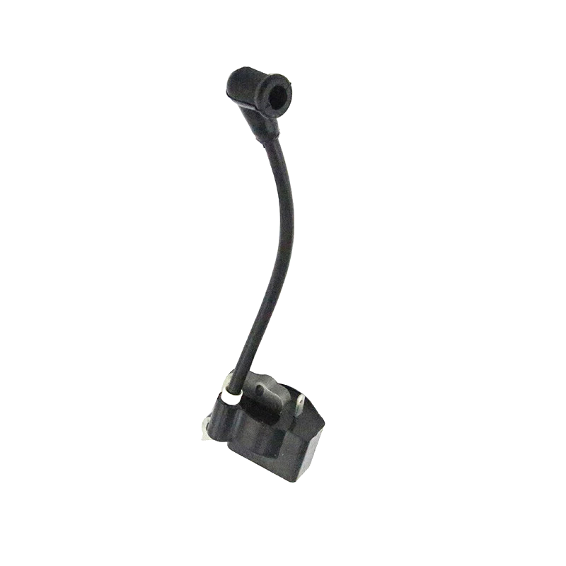 Ignition Module