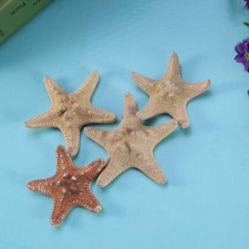 4 Pcs Home Decor Beach Sea Theme Wedding Decorations Coastal Accessories
