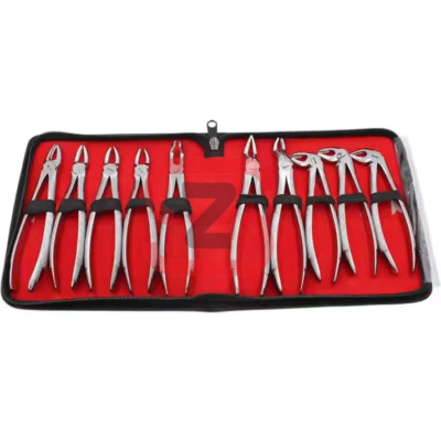 Dental Instruments Professional Adult Tooth Extracting Forceps 10 Pcs Set Teeth