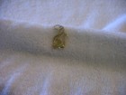 Vintage 70's Gold Tone Musical Note Necklace Pendent Costume Jewelry Instrument — photo 6