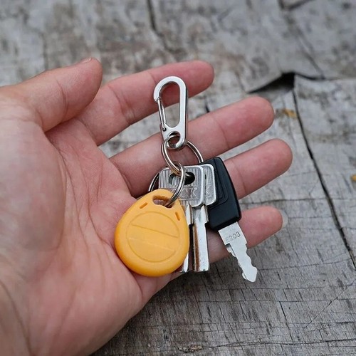 5/10Pcs Mini Carabiner Keychain D-Ring Clip Hang Buckle Survival Outdoor Camping - Picture 3 of 18