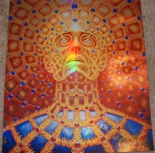 Alex Grey Art Print Oversoul Holographic Serigraph Foil S/# 333 Tool Poster