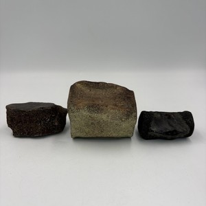 Fossilized Bone Vertebrae Fragments Lot Of 3 Dark Brown Black Fossils Specimens
