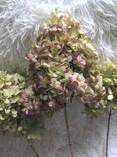 Dried Hydrangea Bouquet 3 Stems Green Pink Limelight Organic Flowers
