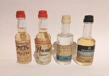 13 bottigliette mignon liquore prugna