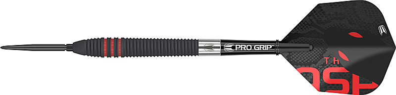 МИШЕНЬ Steeldarts Натан Аспиналл 80 вольфрама Черный SWISS POINT Darts - Набор для дартса 13990₽