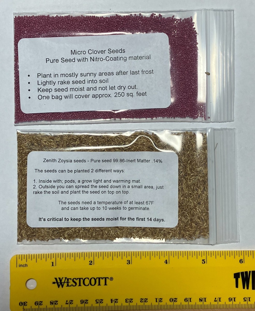 その他 seed Zenith Zoysia Grass Seed – Hancock Seed