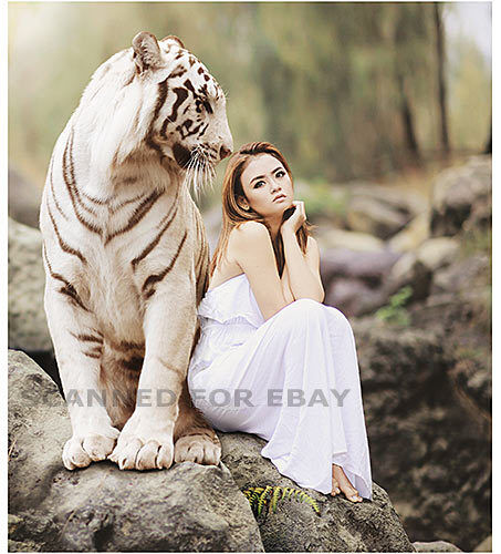 Digital Art non-nude ASIAN MODEL WHITE TIGER female photo pic woman girl print F - Picture 1 of 1