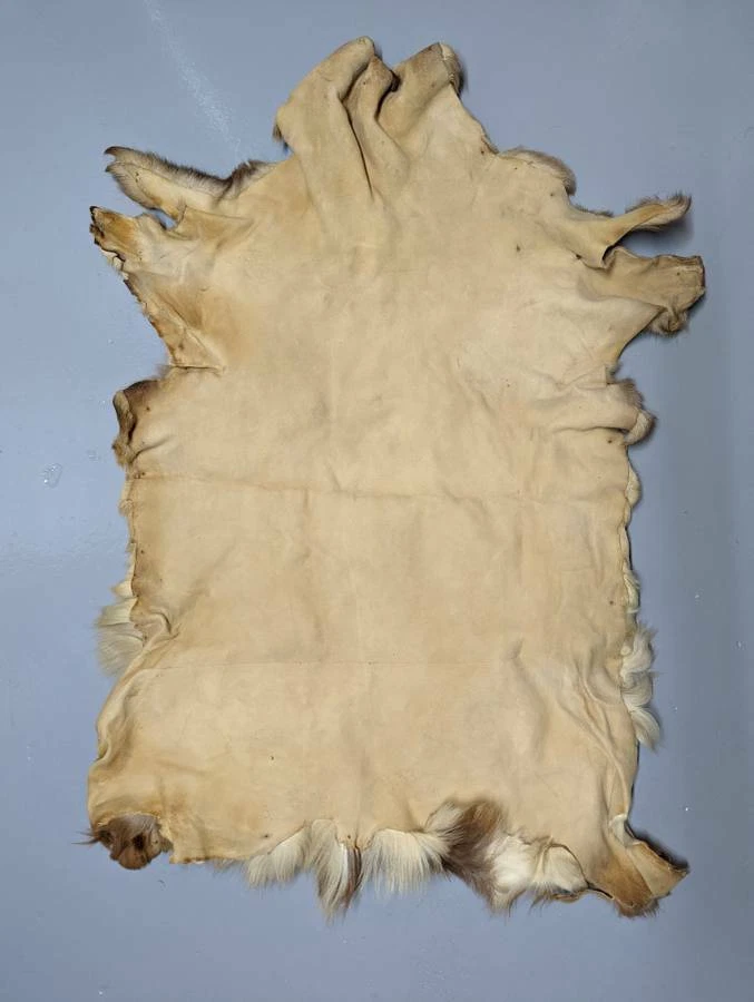 Handmade Deer Hide Bed Cover : r/ATBGE